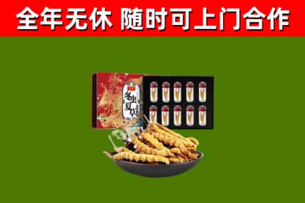 遵义烟酒回收冬虫夏草礼盒.jpg